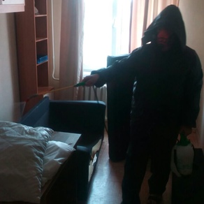 Уничтожение тараканов в квартире с гарантией в Екатеринбурге