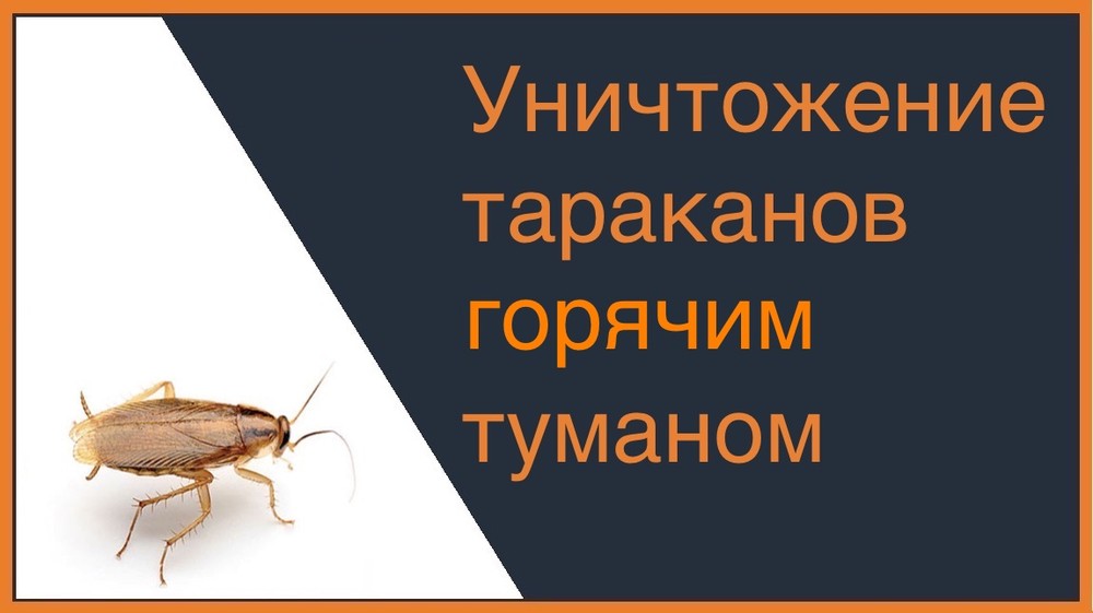 Уничтожение тараканов горячим туманом в Екатеринбурге