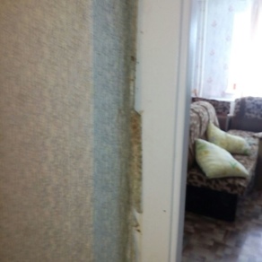 Борьба с клопами в квартире с гарантией Екатеринбург