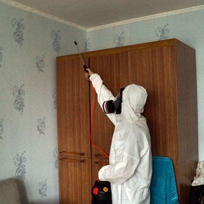 Борьба с клопами в домашних условиях – Екатеринбург