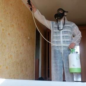 Уничтожение тараканов в квартире – цена в Екатеринбурге