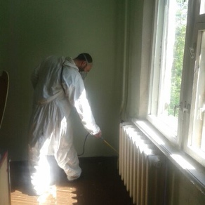 Уничтожить тараканов в квартире в Екатеринбурге